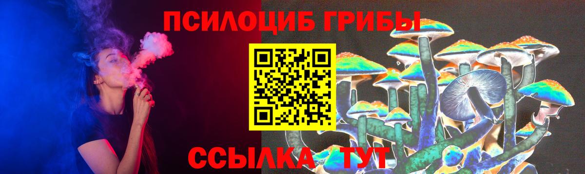 Псилоцибиновые грибы MAGIC MUSHROOMS Выборг